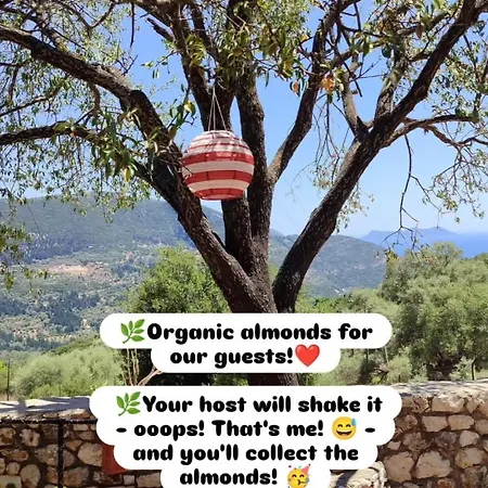 Casa de Férias το λαϊνάκι By Fox Tale Fternon