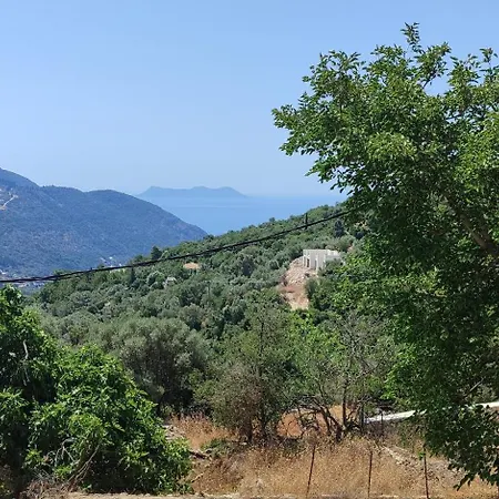 το λαϊνάκι By Fox Tale Fternon