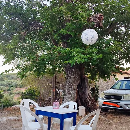 το λαϊνάκι By Fox Tale * Fternon