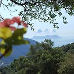 το λαϊνάκι By Fox Tale *