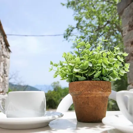 το λαϊνάκι By Fox Tale *